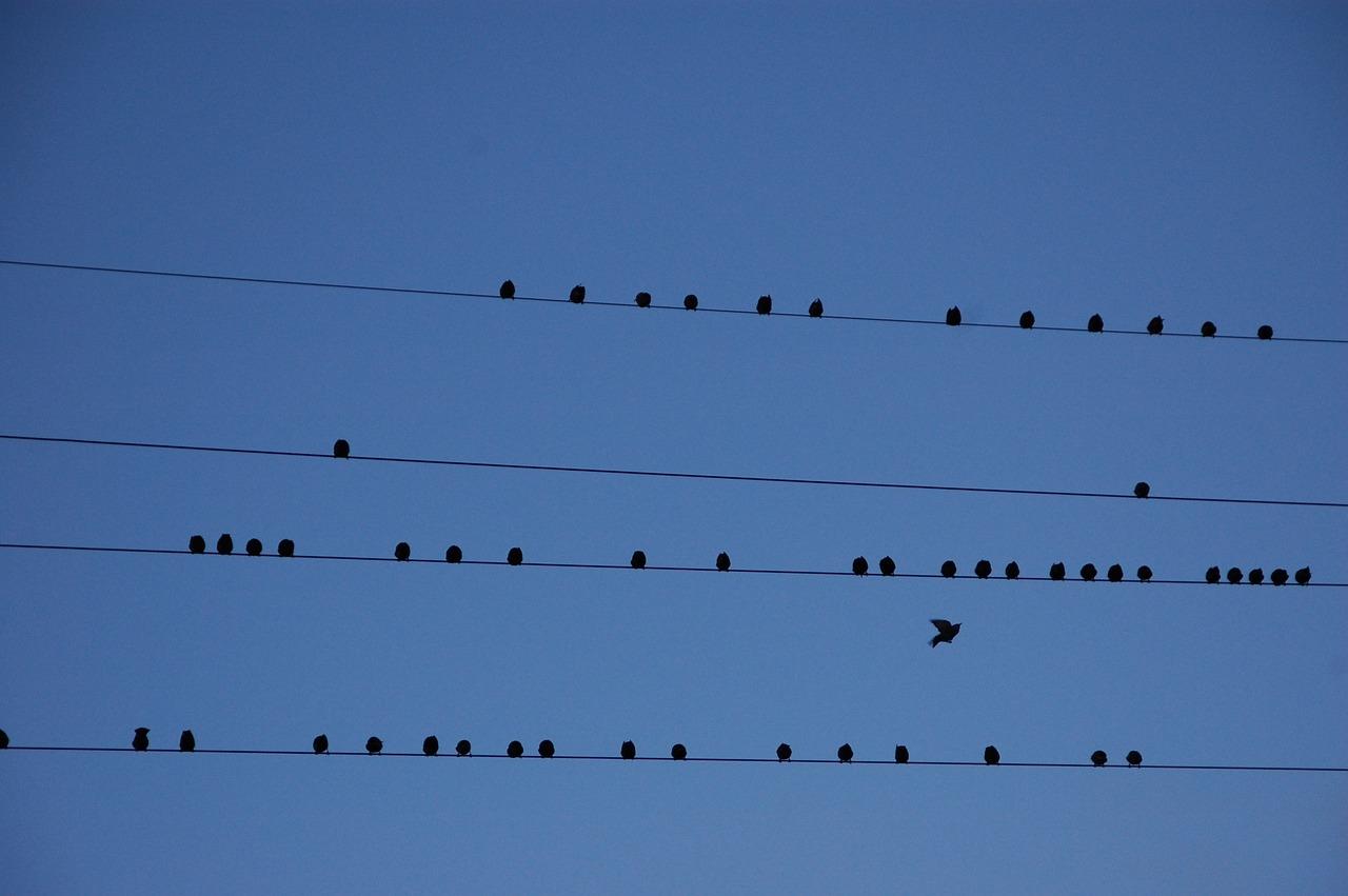 비트코인 하락장에서도 이익을! 숏 전략 완벽 가이드