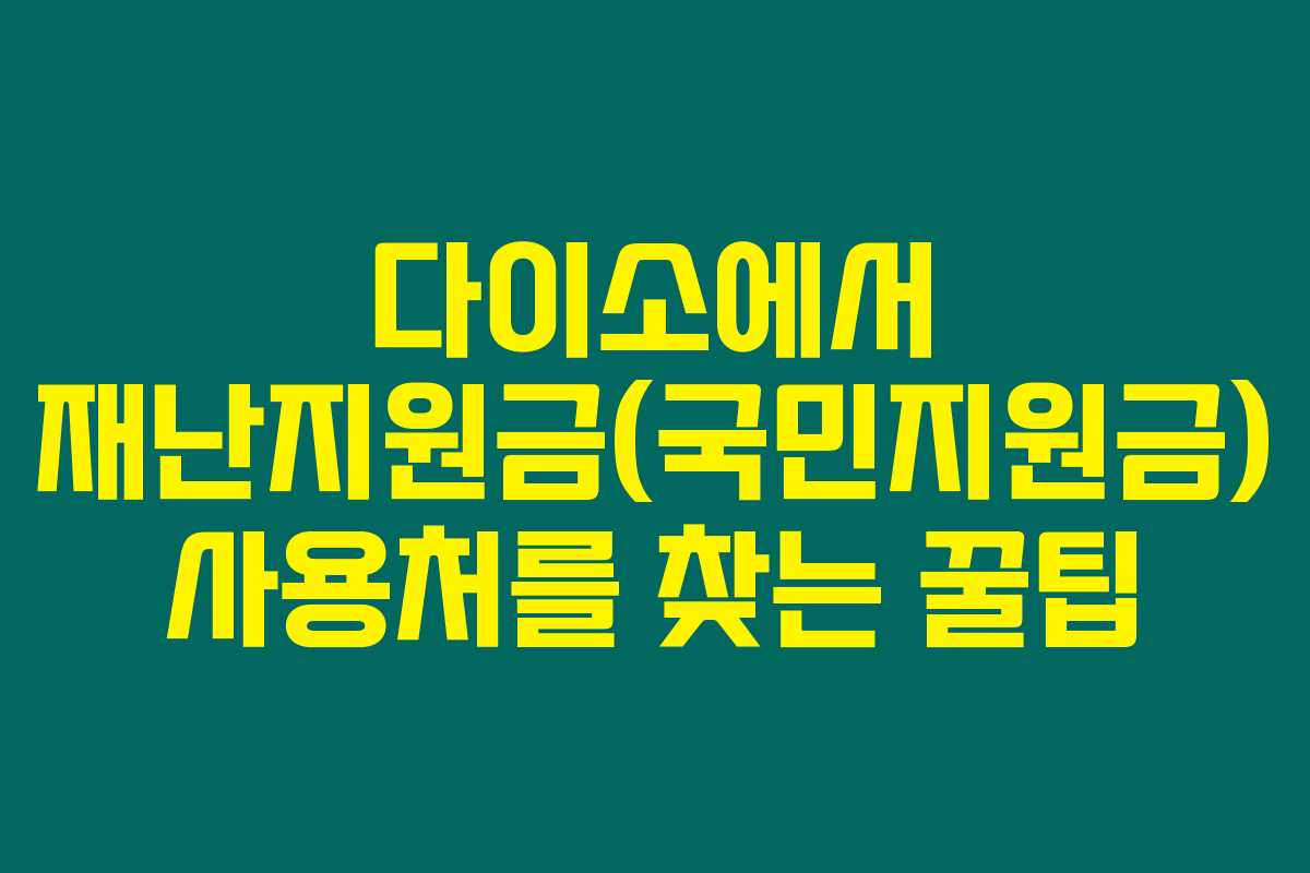 다이소에서 재난지원금(국민지원금) 사용처를 찾는 꿀팁