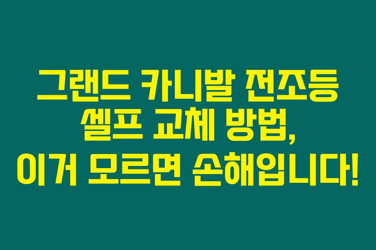 그랜드 카니발 전조등 셀프 교체 방법, 이거 모르면 손해입니다!