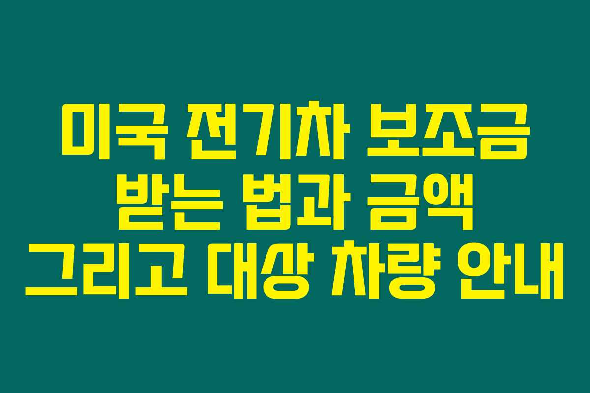 미국 전기차 보조금 받는 법과 금액 그리고 대상 차량 안내