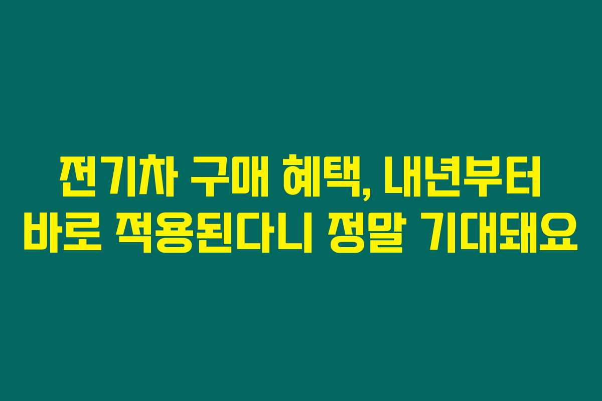 전기차 구매 혜택, 내년부터 바로 적용된다니 정말 기대돼요 전기차 구매 혜택, 내년부터 바로 적용된다니 정말 기대돼요