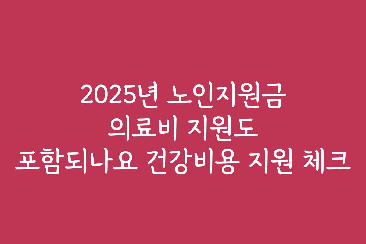 2025년 노인지원금 의료비 지원도 포함되나요 건강비용 지원 체크