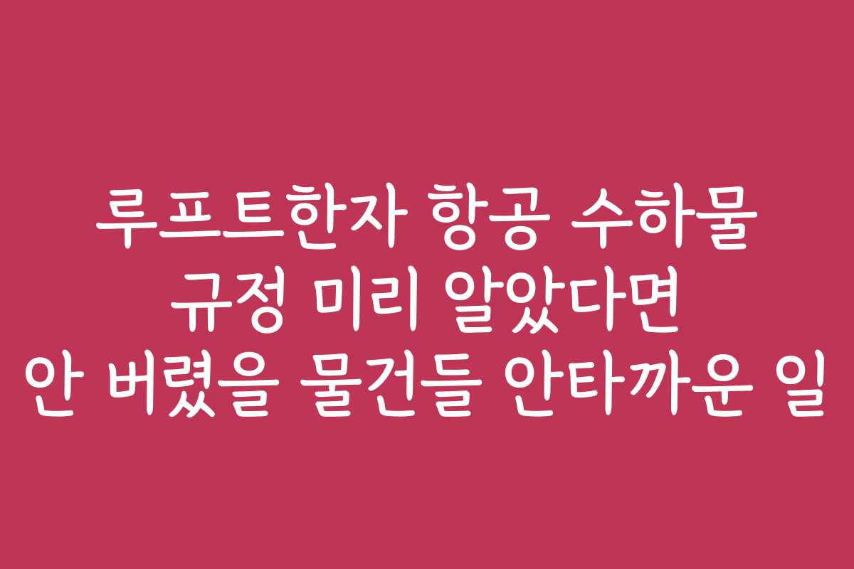 루프트한자 항공 수하물 규정 미리 알았다면 안 버렸을 물건들 안타까운 일