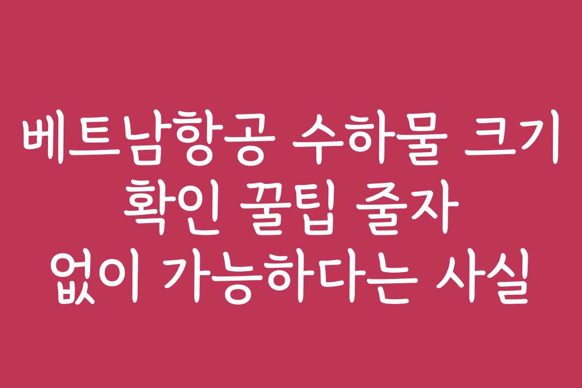 베트남항공 수하물 크기 확인 꿀팁 줄자 없이 가능하다는 사실