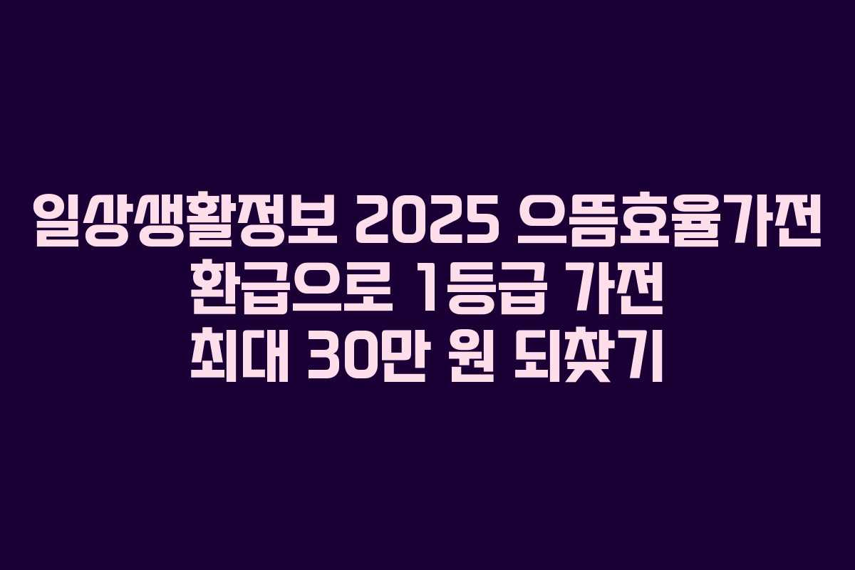 일상생활정보 2025 으뜸효율가전 환급으로 1등급 가전 최대 30만 원 되찾기
