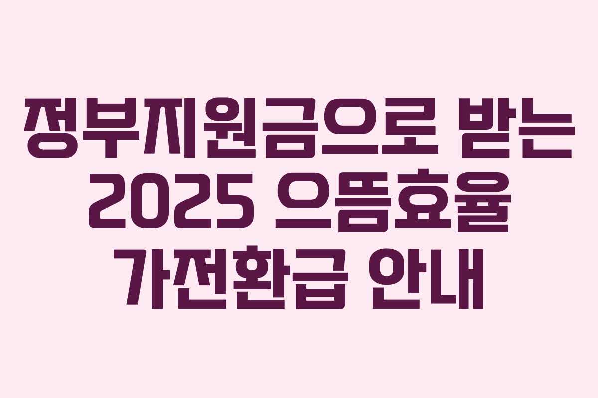 정부지원금으로 받는 2025 으뜸효율 가전환급 안내