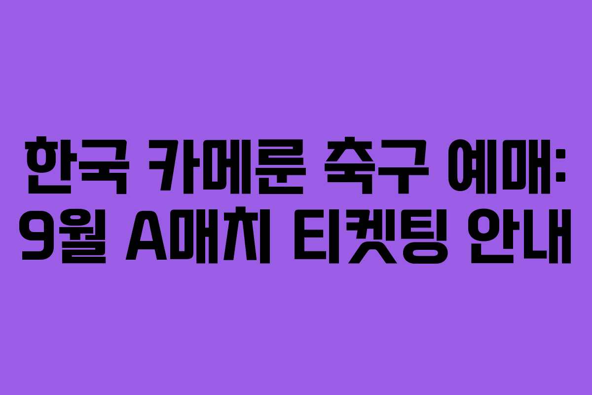 한국 카메룬 축구 예매: 9월 A매치 티켓팅 안내