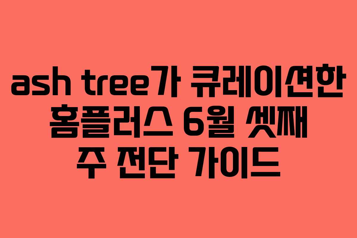 ash tree가 큐레이션한 홈플러스 6월 셋째 주 전단 가이드