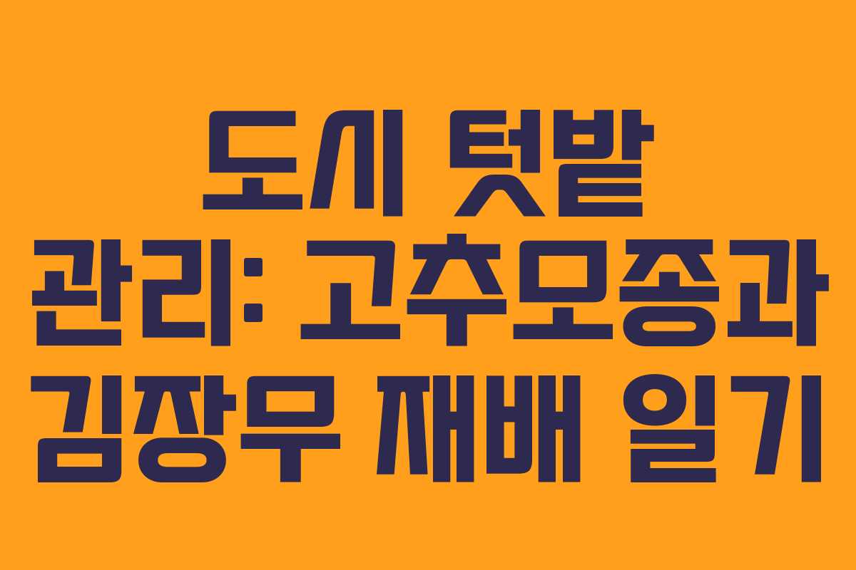 도시 텃밭 관리: 고추모종과 김장무 재배 일기