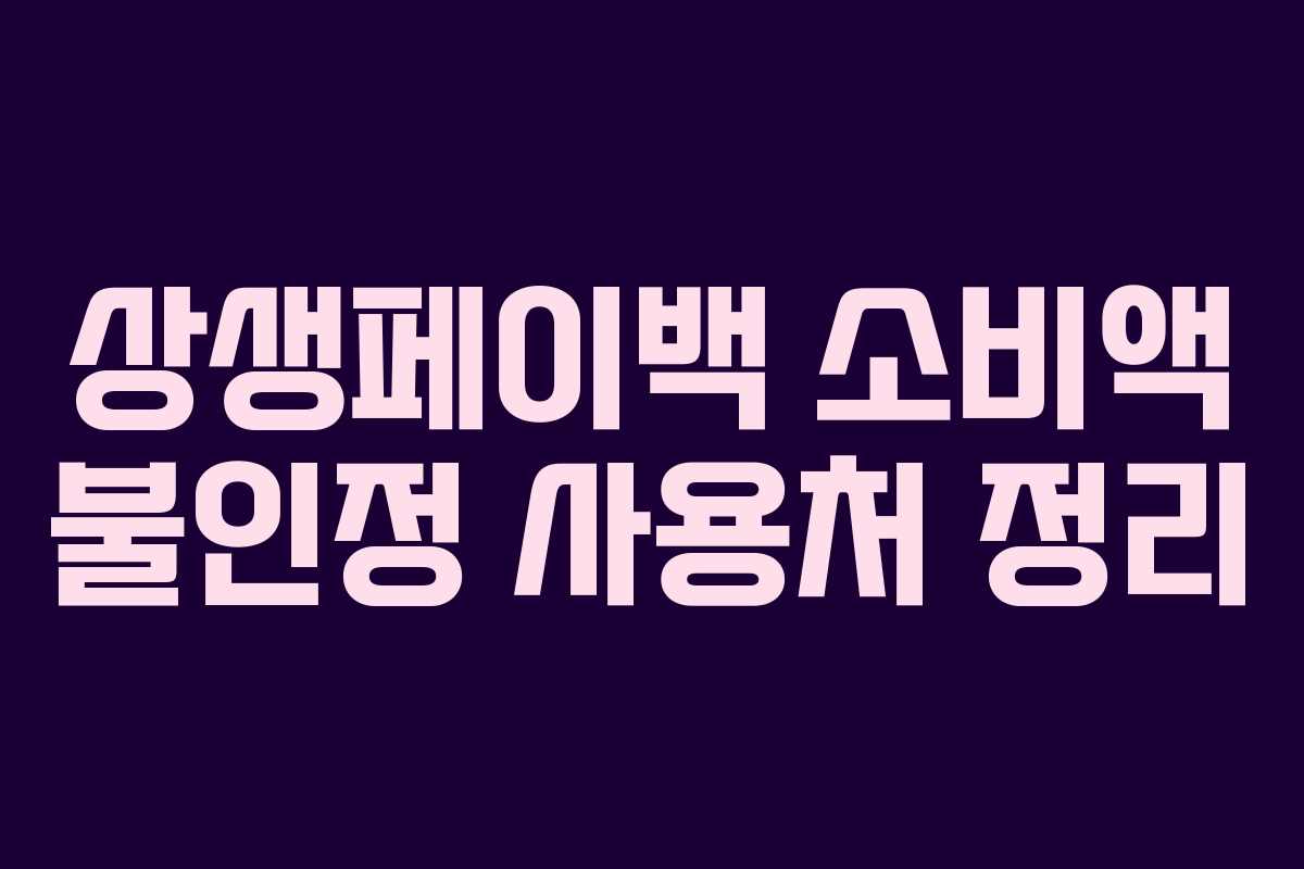 상생페이백 소비액 불인정 사용처 정리