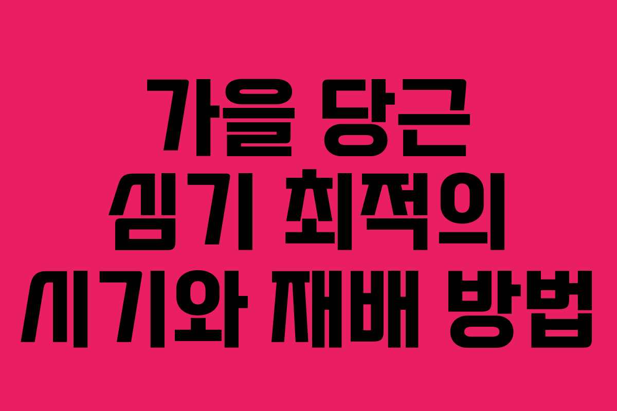 가을 당근 심기 최적의 시기와 재배 방법 가을 당근 심기 최적의 시기와 재배 방법