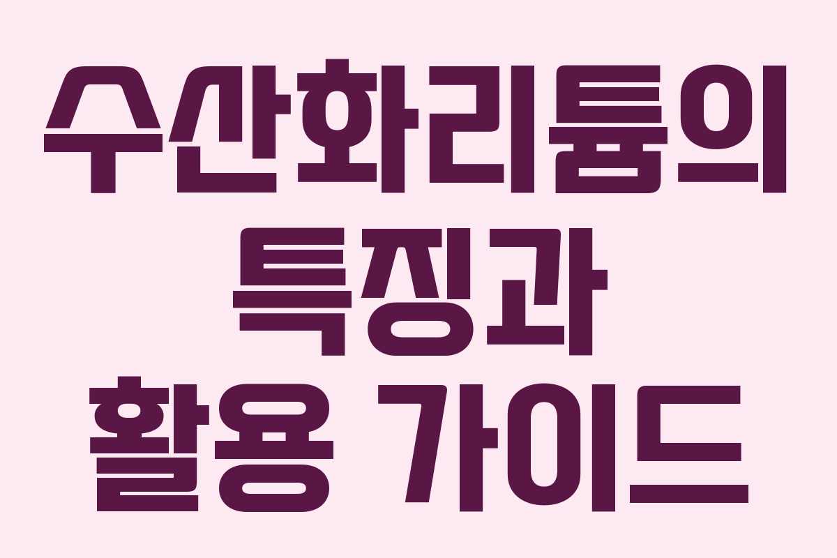 수산화리튬의 특징과 활용 가이드