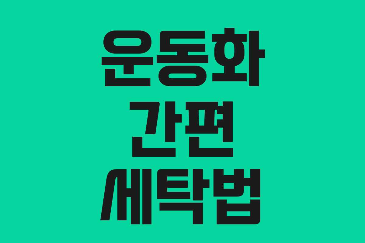 운동화 간편 세탁법