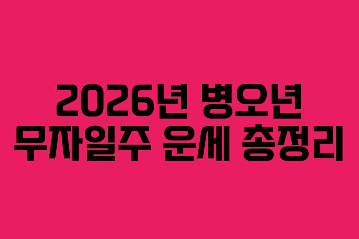 2026년 병오년 무자일주 운세 총정리