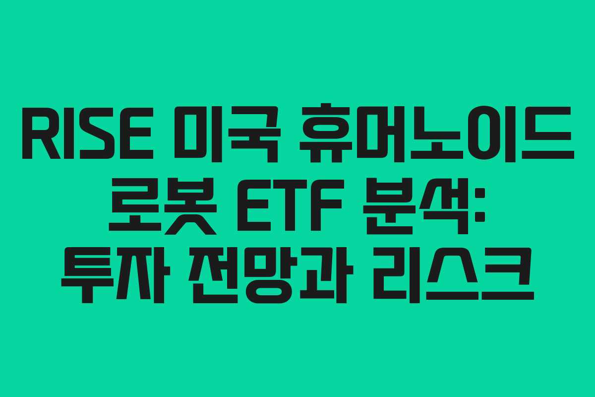 RISE 미국 휴머노이드 로봇 ETF 분석: 투자 전망과 리스크
