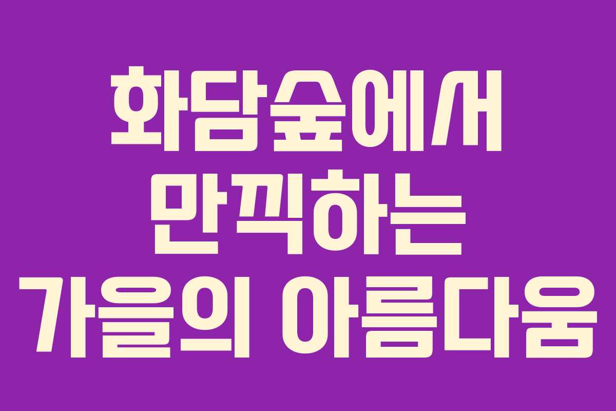 화담숲에서 만끽하는 가을의 아름다움 화담숲에서 만끽하는 가을의 아름다움