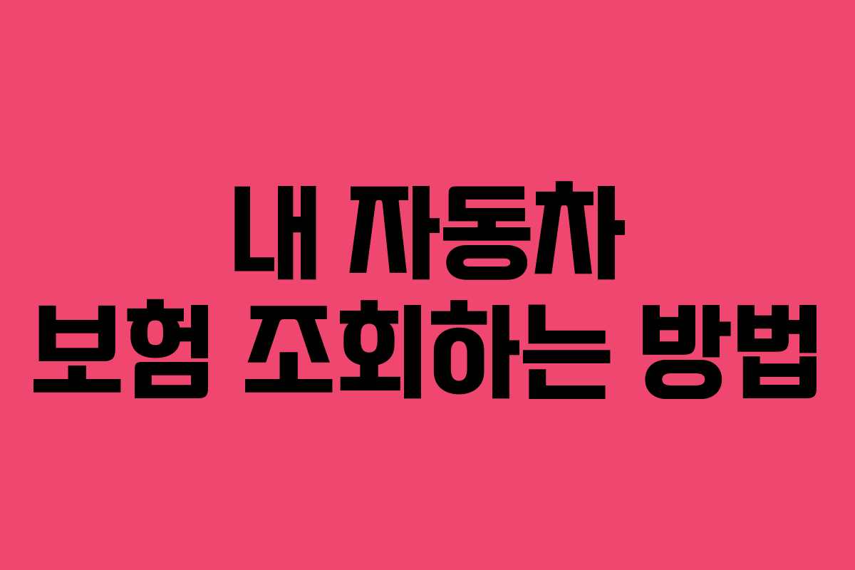 내 자동차 보험 조회하는 방법