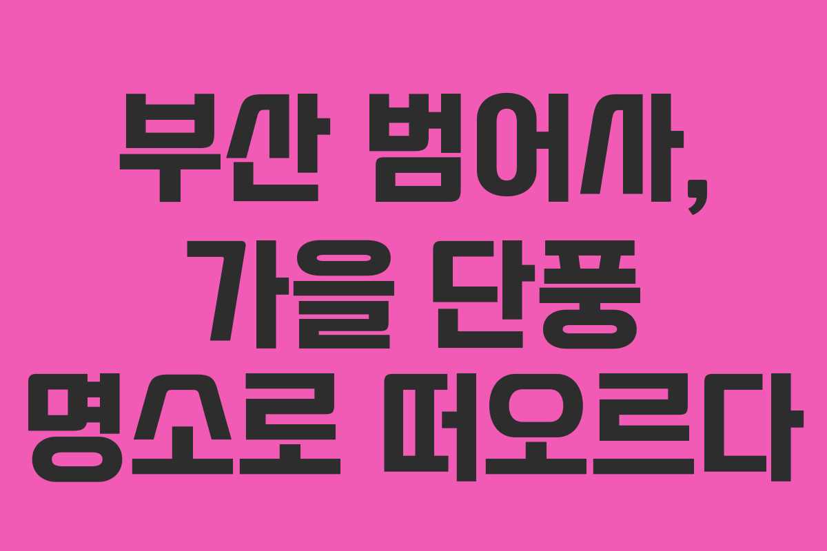 부산 범어사, 가을 단풍 명소로 떠오르다