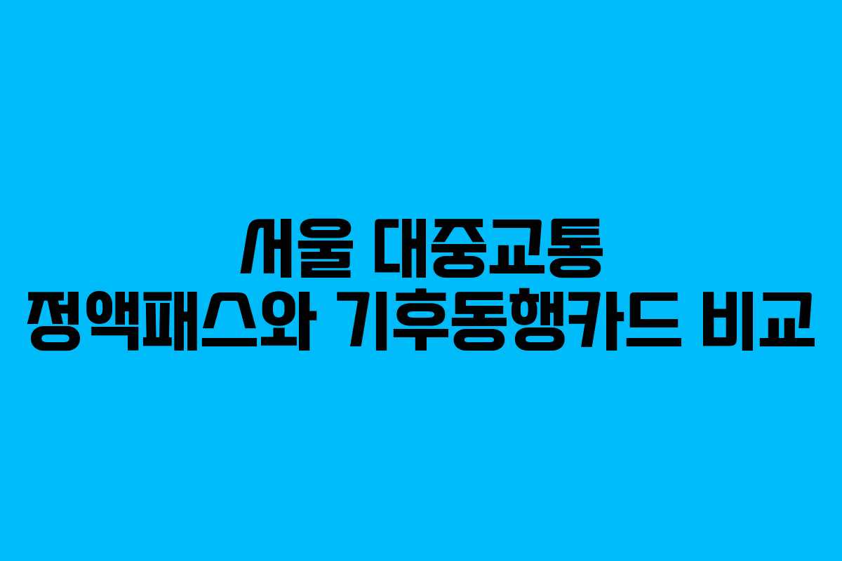 서울 대중교통 정액패스와 기후동행카드 비교