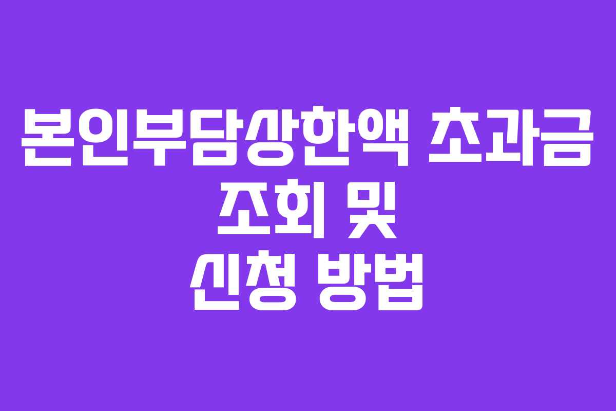 본인부담상한액 초과금 조회 및 신청 방법