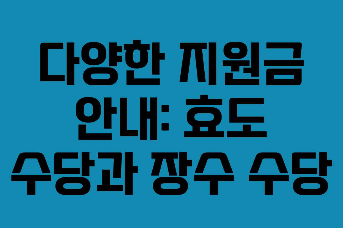 다양한 지원금 안내: 효도 수당과 장수 수당 다양한 지원금 안내: 효도 수당과 장수 수당