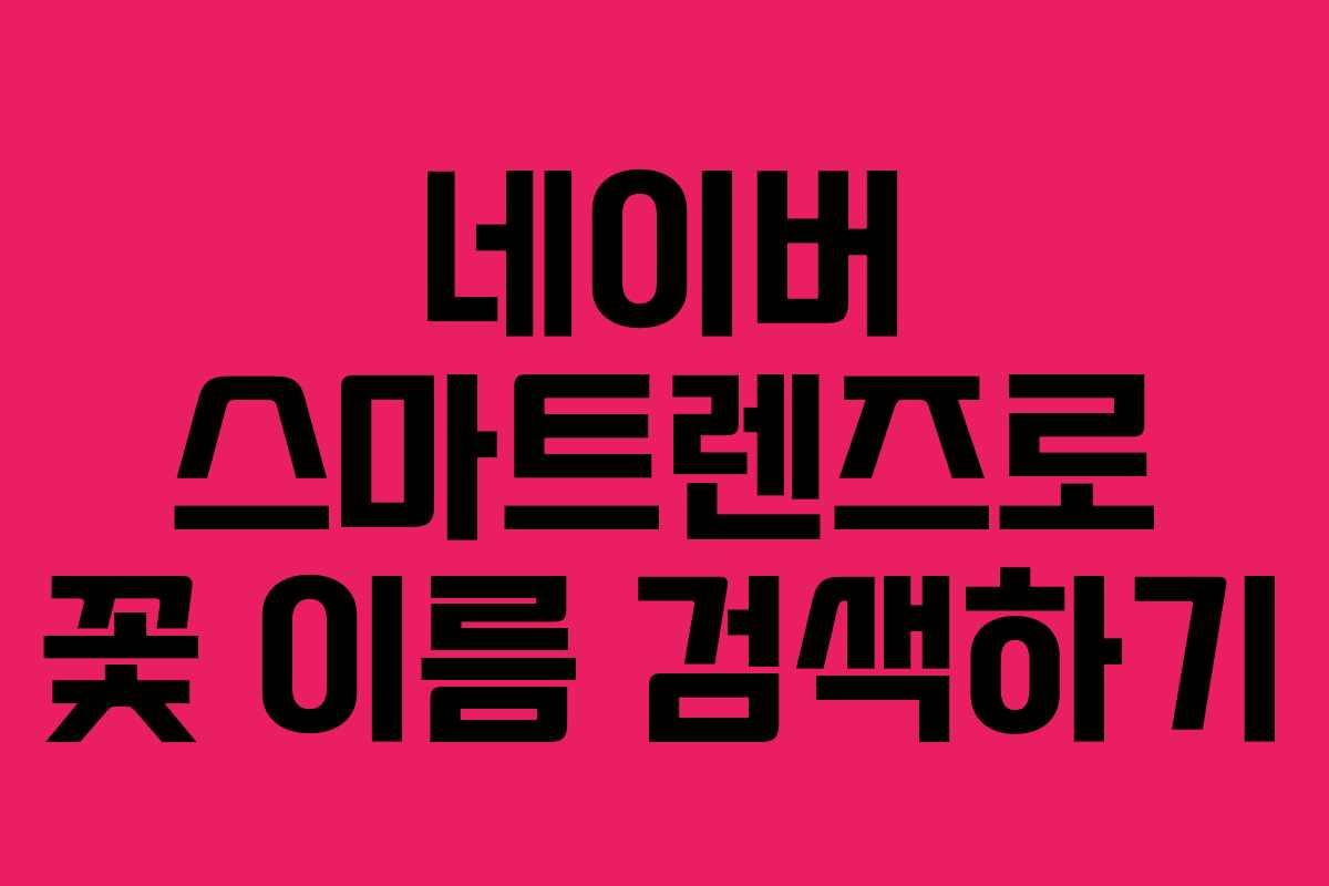 네이버 스마트렌즈로 꽃 이름 검색하기