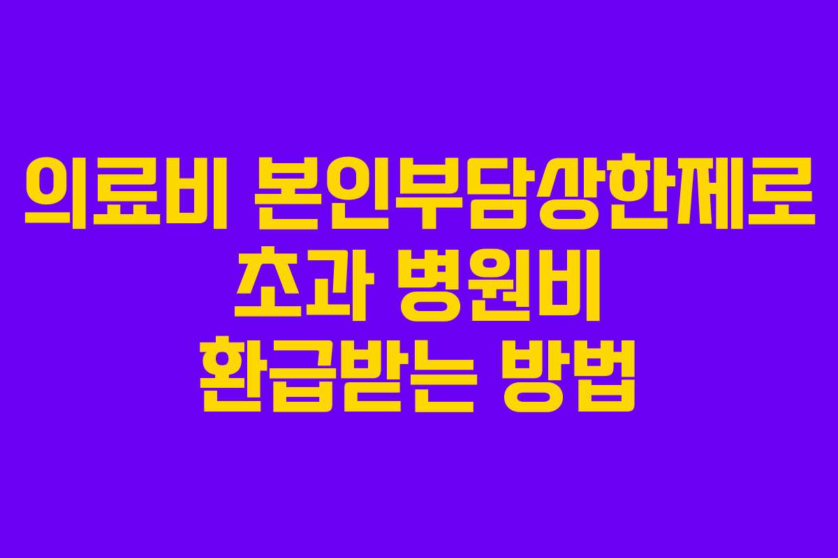 의료비 본인부담상한제로 초과 병원비 환급받는 방법 의료비 본인부담상한제로 초과 병원비 환급받는 방법