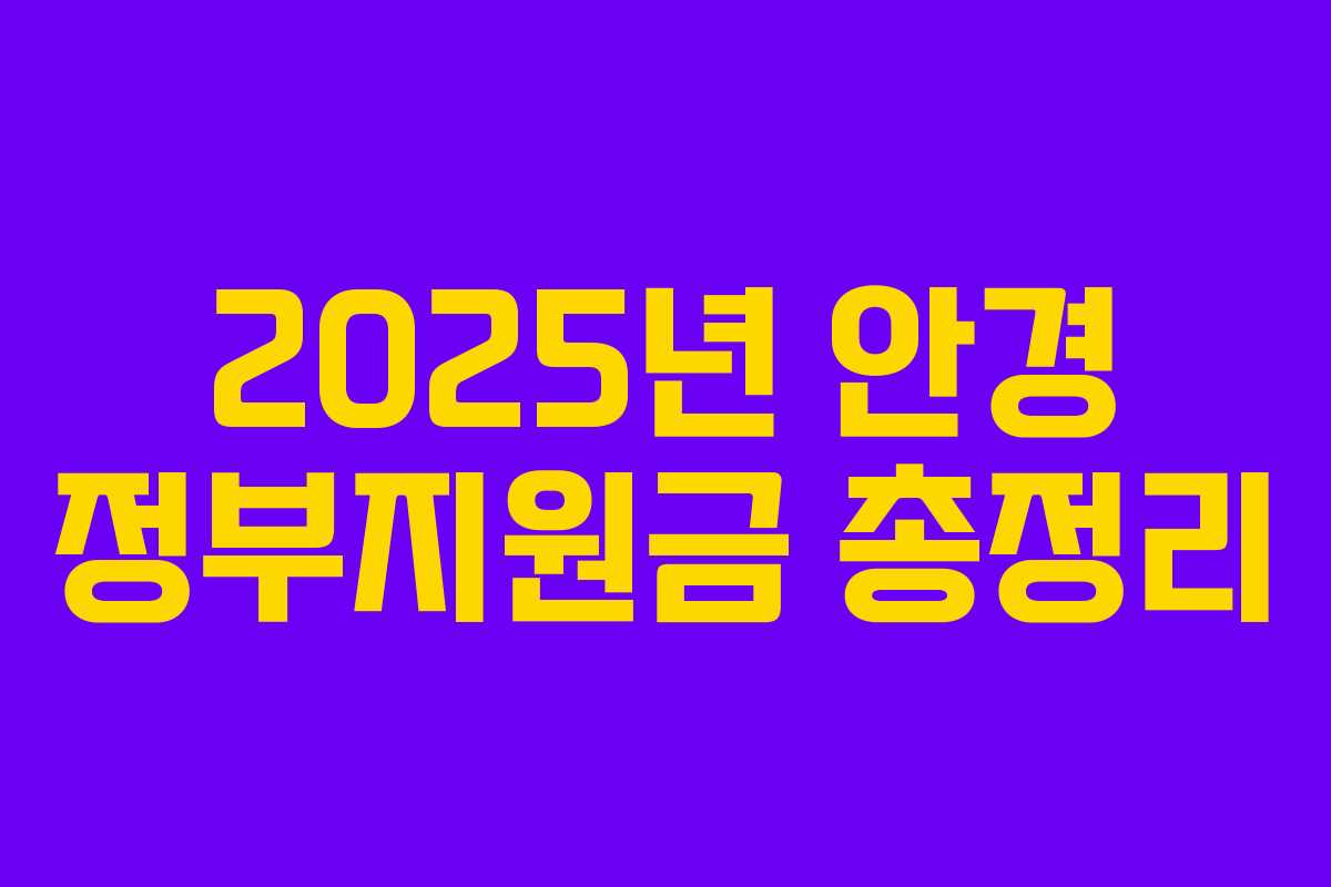 2025년 안경 정부지원금 총정리