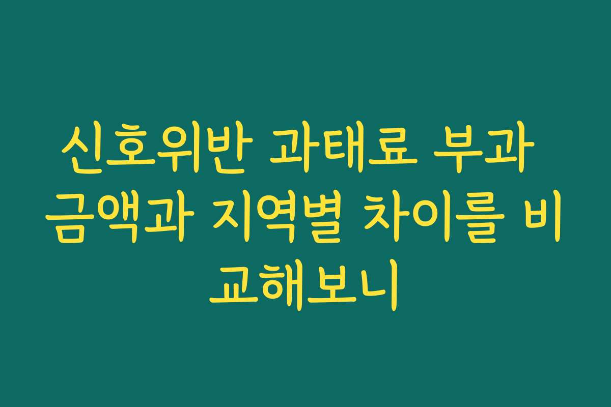 신호위반 과태료 부과 금액과 지역별 차이를 비교해보니