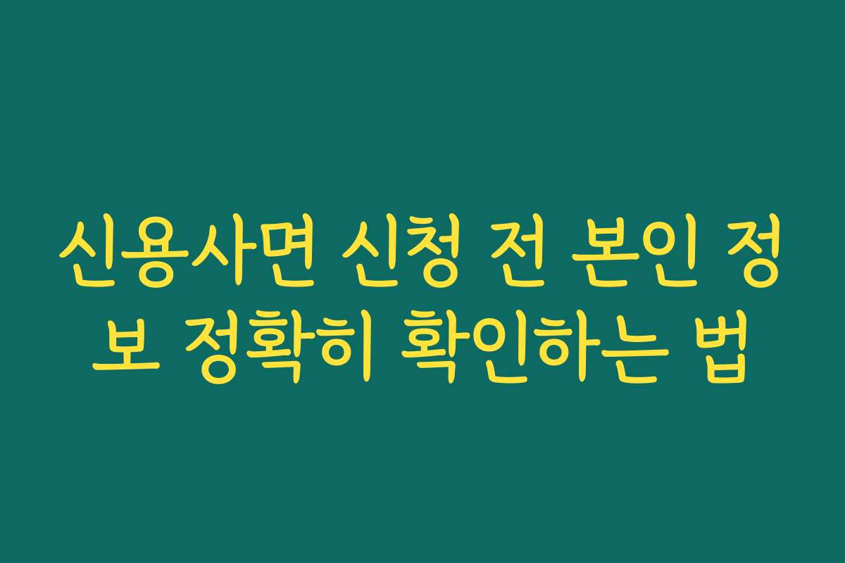 신용사면 신청 전 본인 정보 정확히 확인하는 법