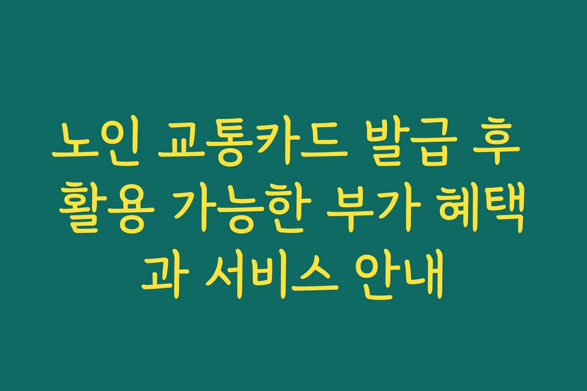 노인 교통카드 발급 후 활용 가능한 부가 혜택과 서비스 안내