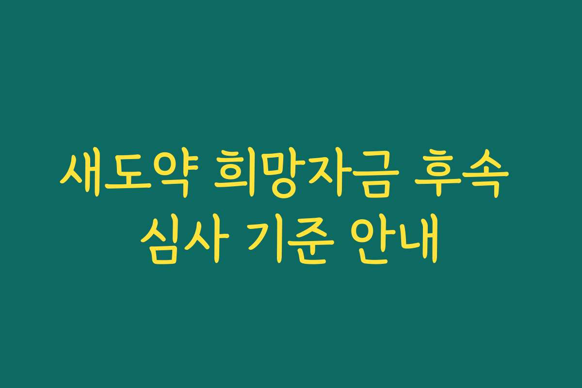 새도약 희망자금 후속 심사 기준 안내