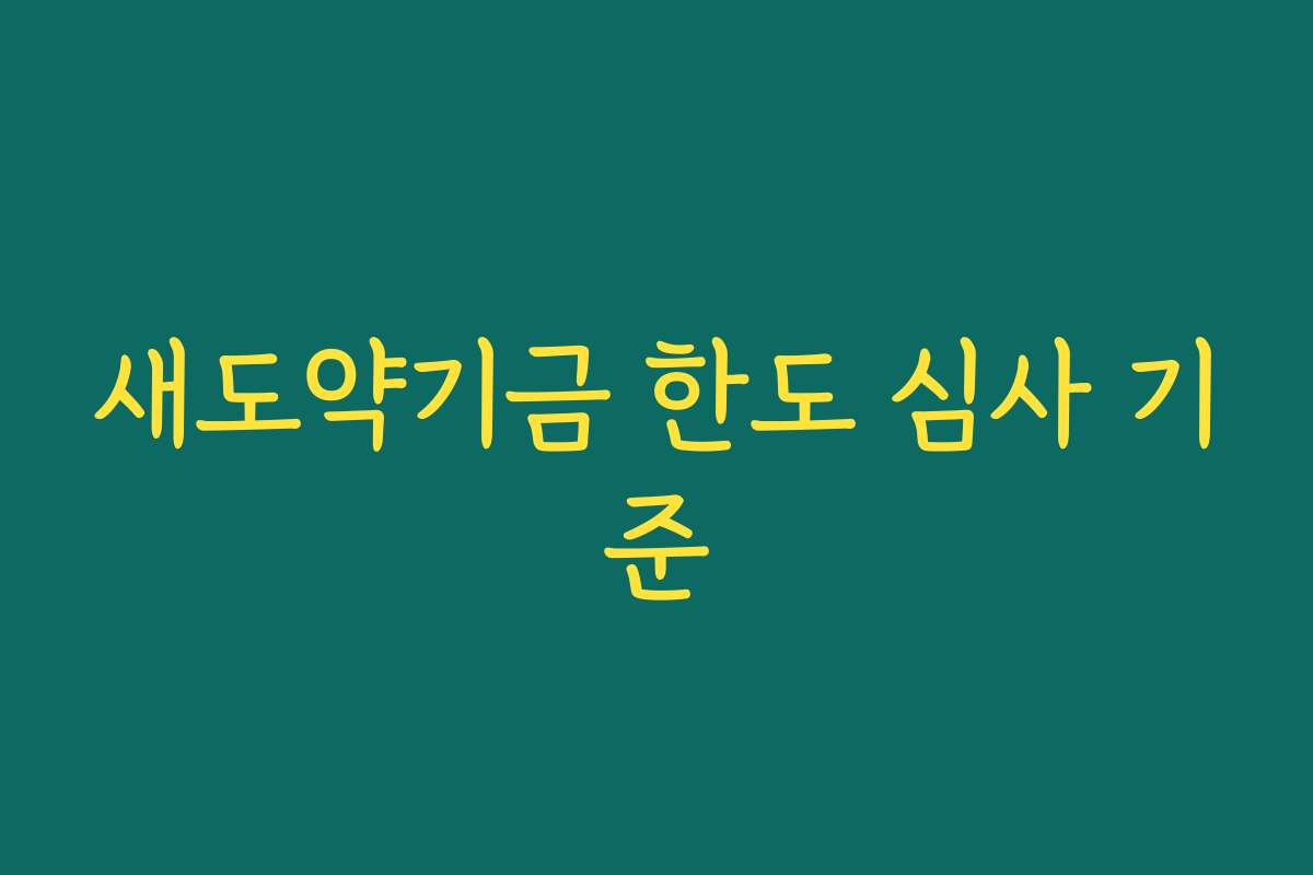 새도약기금 한도 심사 기준 새도약기금 한도 심사 기준