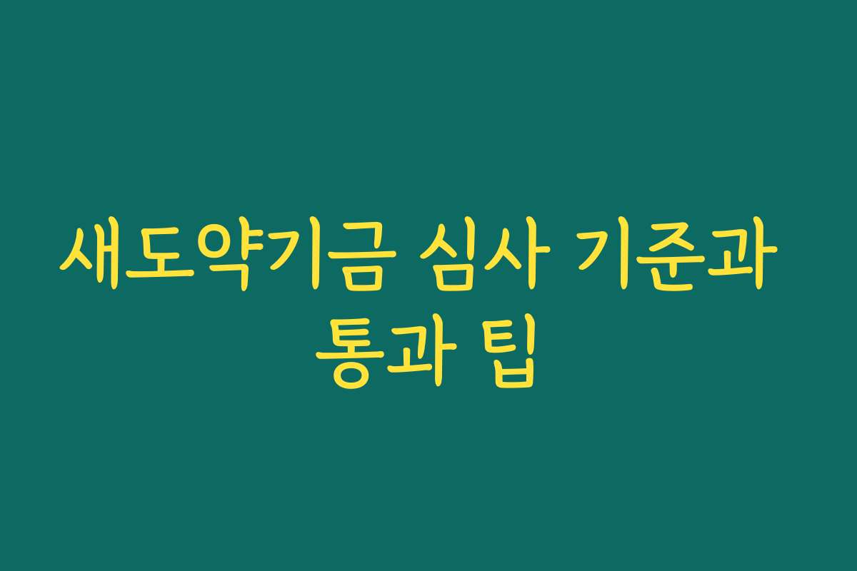 새도약기금 심사 기준과 통과 팁 새도약기금 심사 기준과 통과 팁
