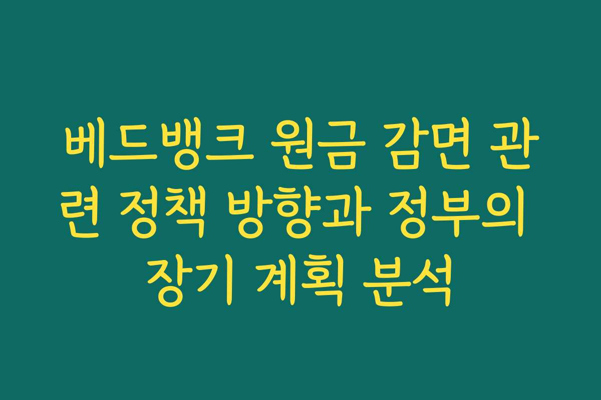 베드뱅크 원금 감면 관련 정책 방향과 정부의 장기 계획 분석