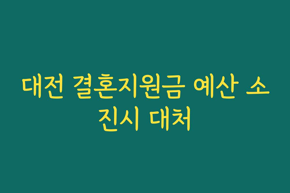 대전 결혼지원금 예산 소진시 대처