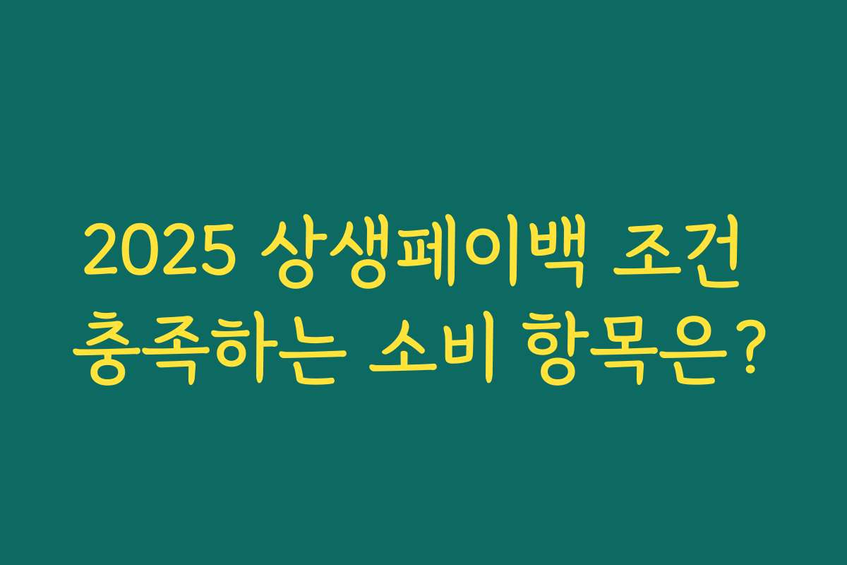 2025 상생페이백 조건 충족하는 소비 항목은?