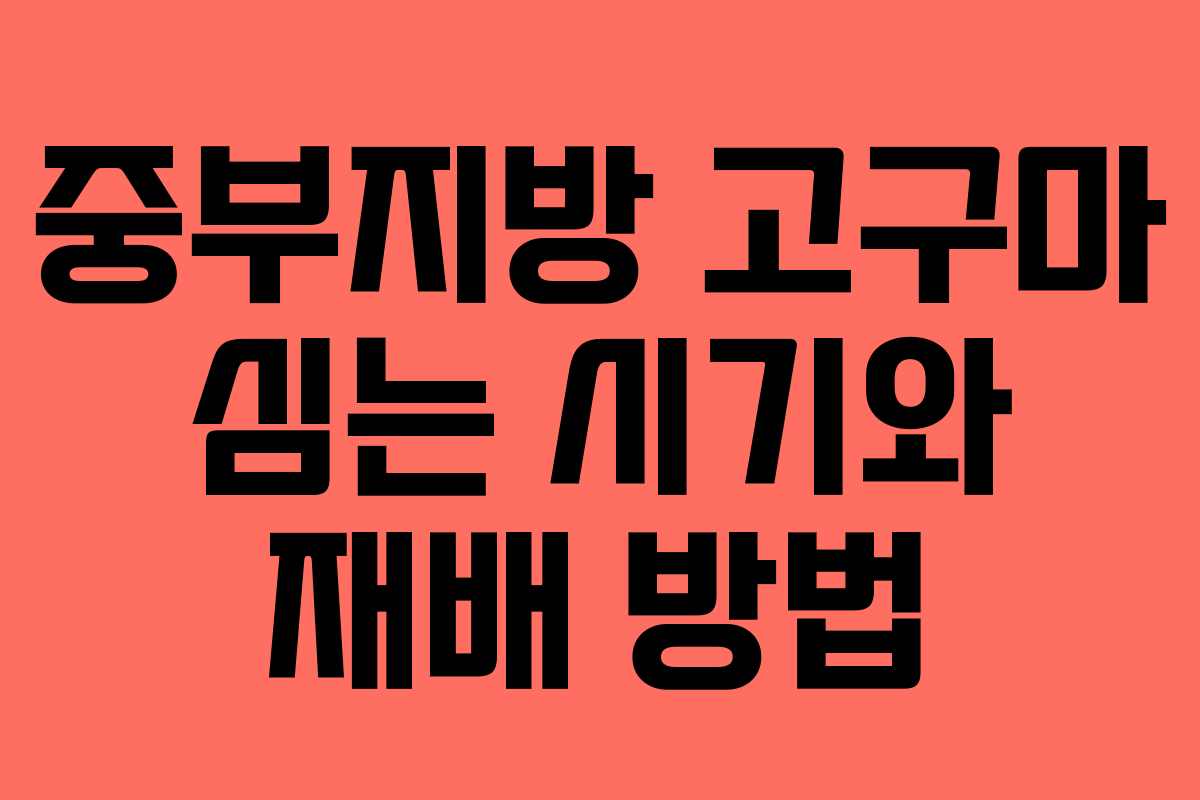 중부지방 고구마 심는 시기와 재배 방법
