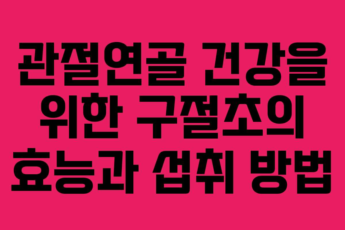 관절연골 건강을 위한 구절초의 효능과 섭취 방법