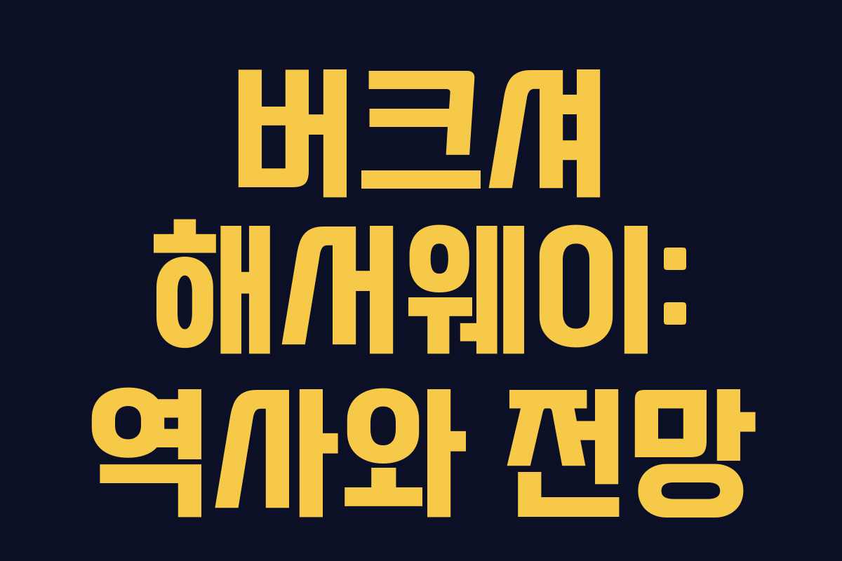 버크셔 해서웨이: 역사와 전망