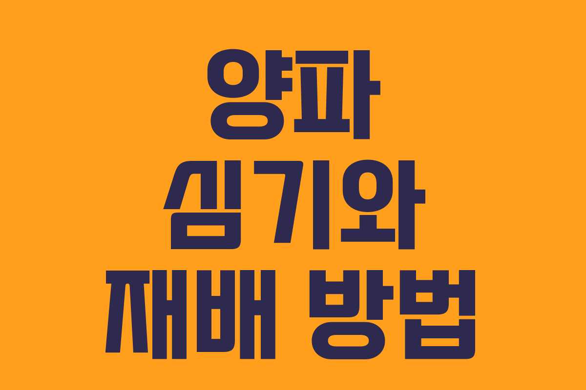양파 심기와 재배 방법