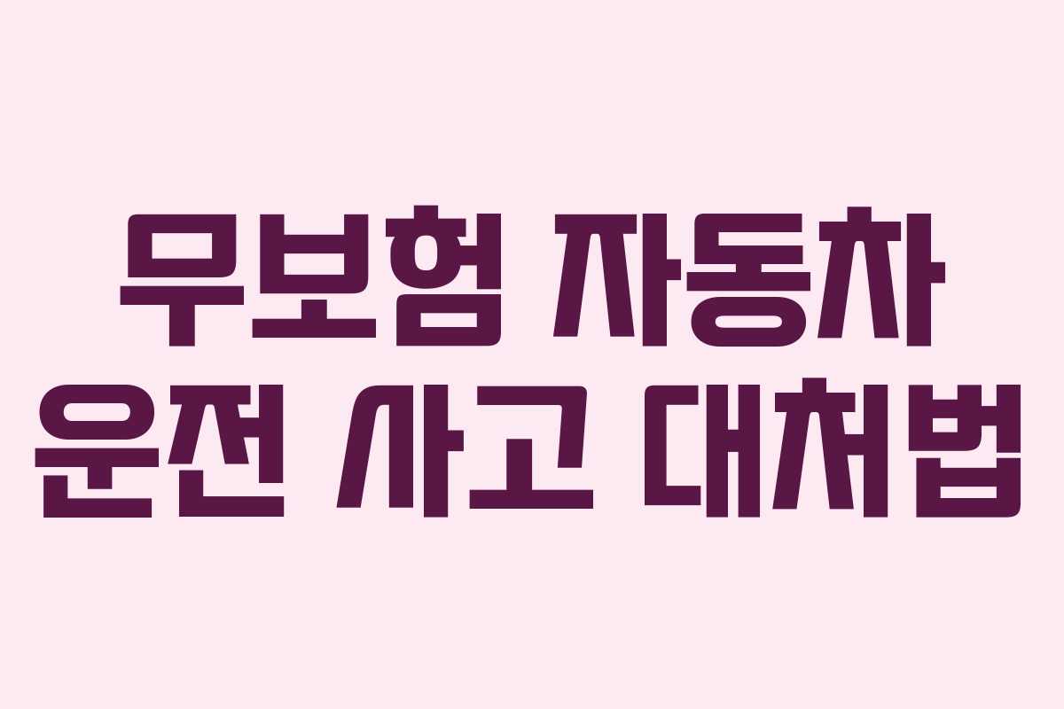 무보험 자동차 운전 사고 대처법