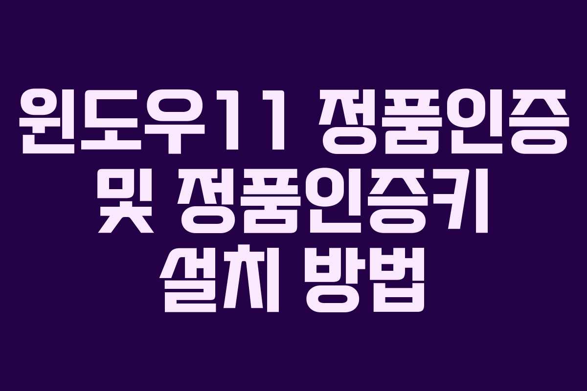 윈도우11 정품인증 및 정품인증키 설치 방법