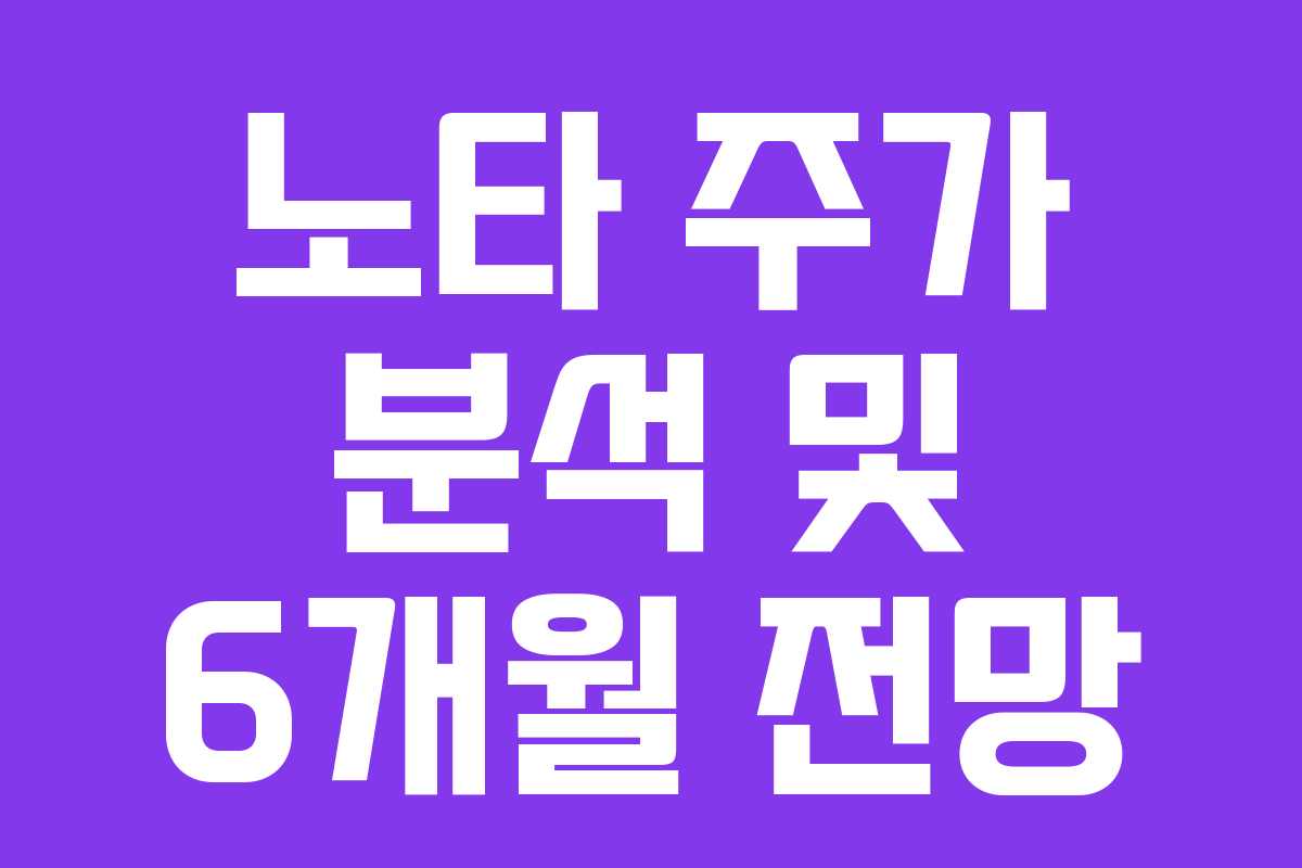 노타 주가 분석 및 6개월 전망 노타 주가 분석 및 6개월 전망