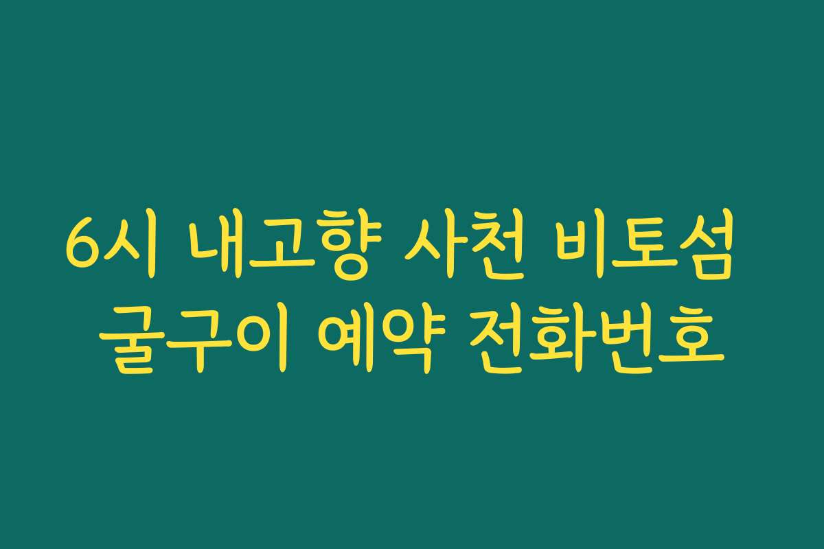 6시 내고향 사천 비토섬 굴구이 예약 전화번호