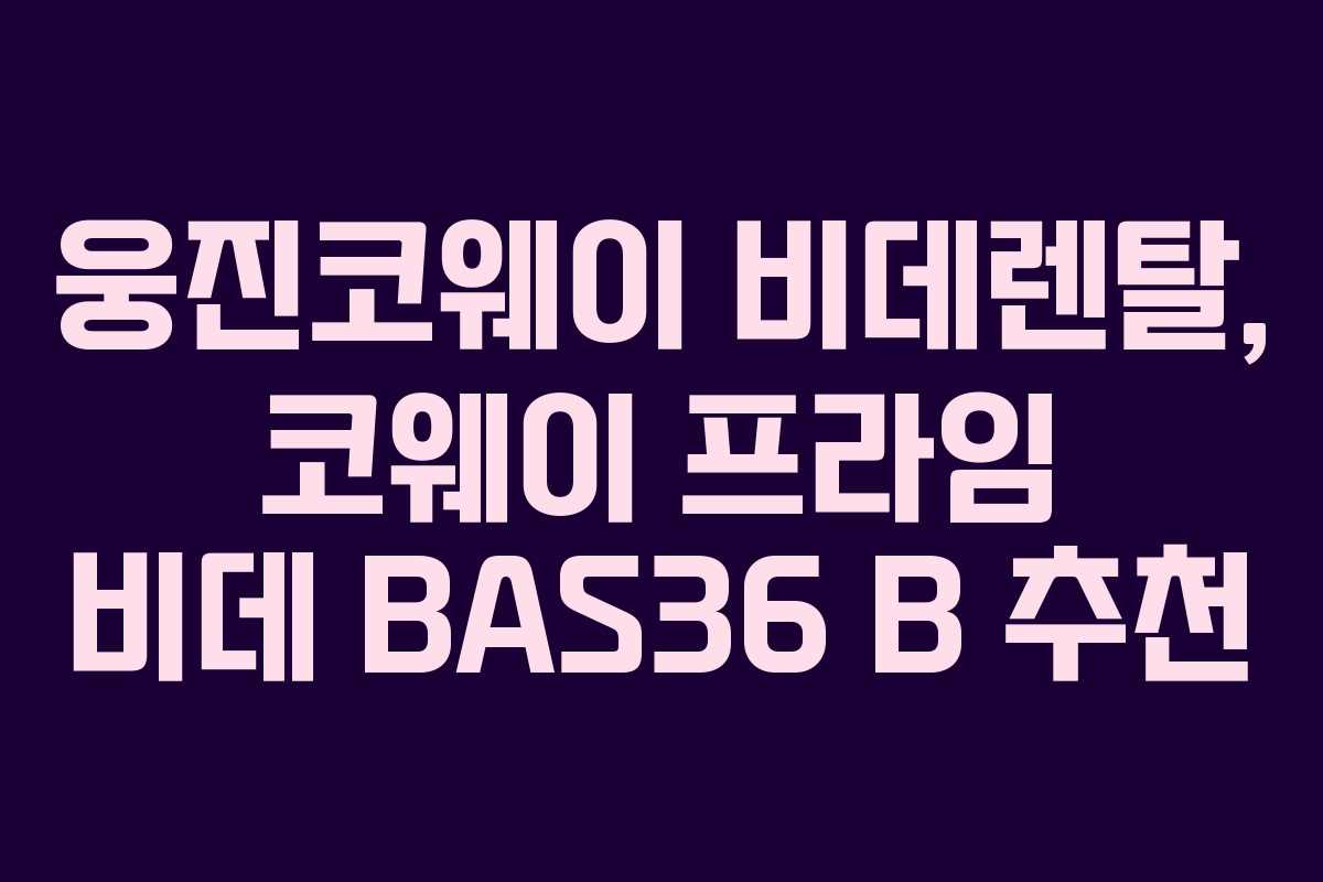 웅진코웨이 비데렌탈, 코웨이 프라임 비데 BAS36 B 추천