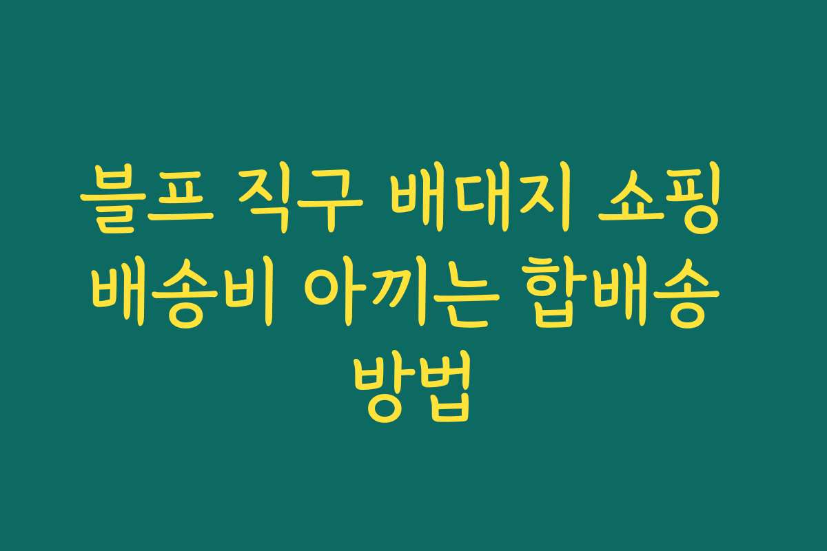 블프 직구 배대지 쇼핑 배송비 아끼는 합배송 방법 블프 직구 배대지 쇼핑 배송비 아끼는 합배송 방법