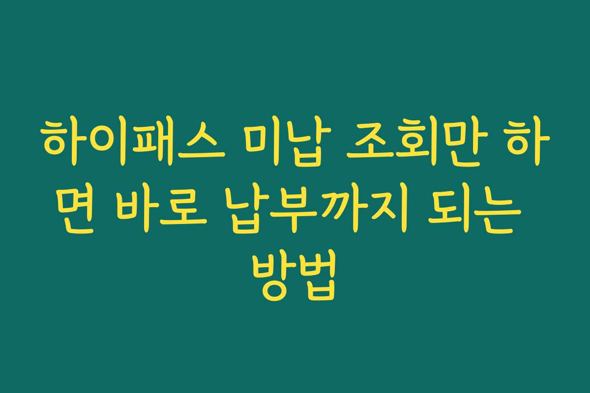 하이패스 미납 조회만 하면 바로 납부까지 되는 방법