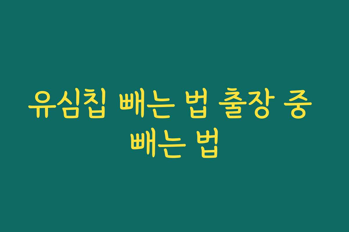 유심칩 빼는 법 출장 중 빼는 법 유심칩 빼는 법 출장 중 빼는 법