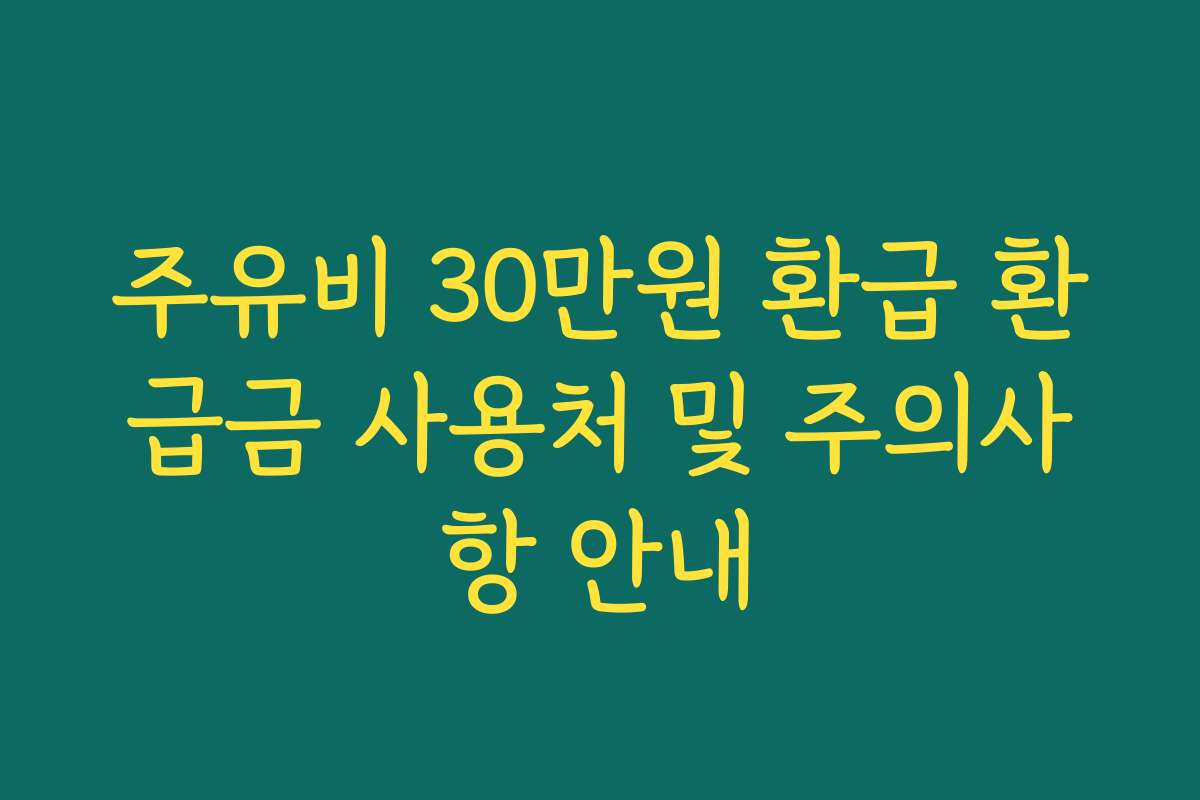 주유비 30만원 환급 환급금 사용처 및 주의사항 안내